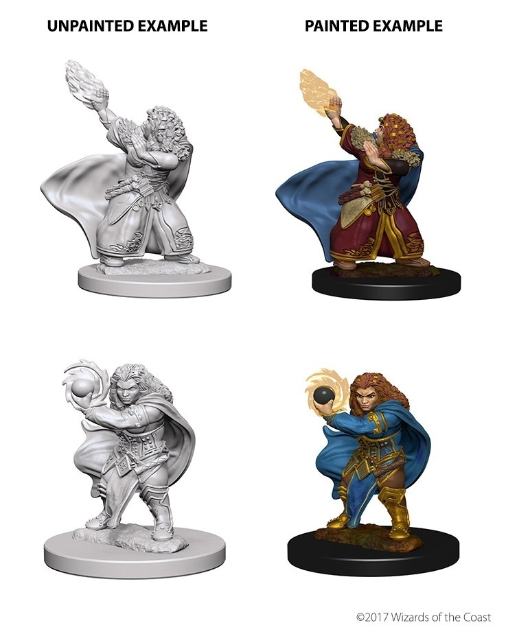 Nolzurs Marvelous Miniatures - Dwarf Wizard - Female